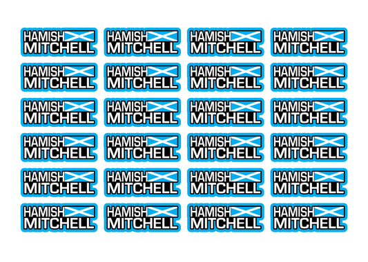 Flag Race Name Stickers For 1/8th scale Radio Controlled Vehicle A4,A5 Available