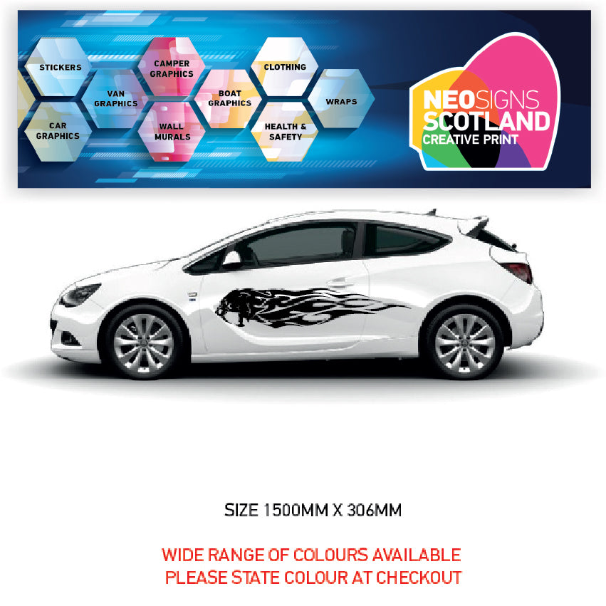 CSG45 Car Side Graphics X 2 Universal Will Fit Any Car or Van