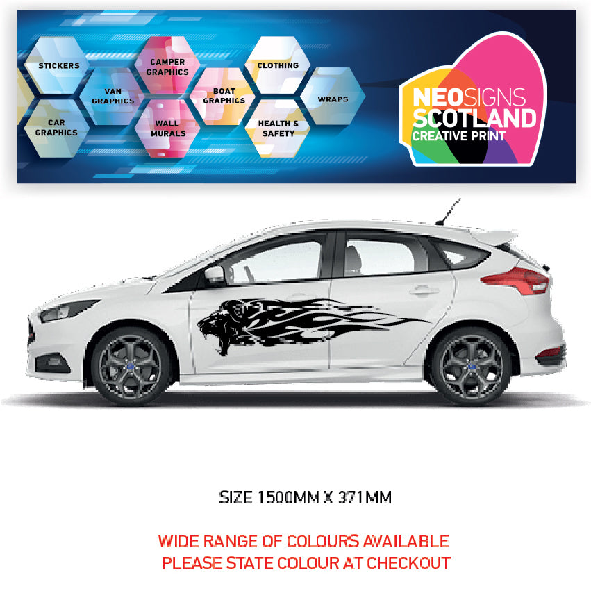 CSG47 Car Side Graphics X 2 Universal Will Fit Any Car or Van