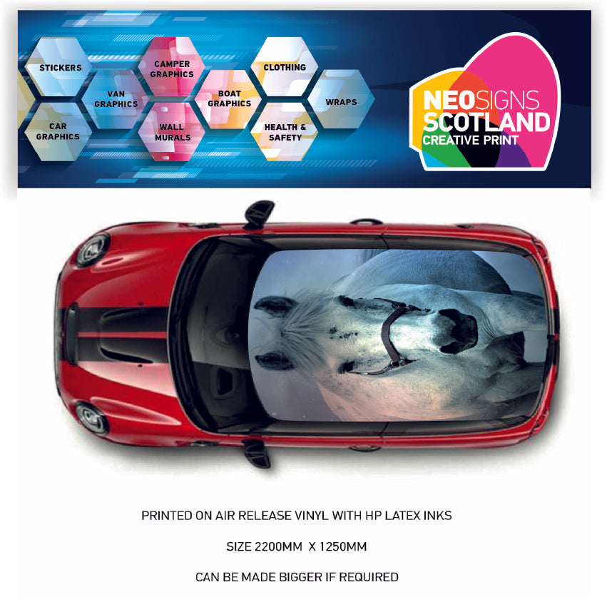 CRW14 White Horse Printed Roof wrap for Mini or any car universal