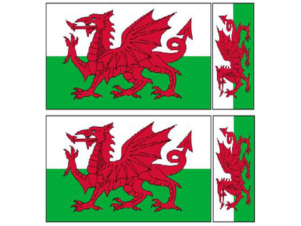 FLAG04A Wales Flags 2 x 100mm 2 x 50mm