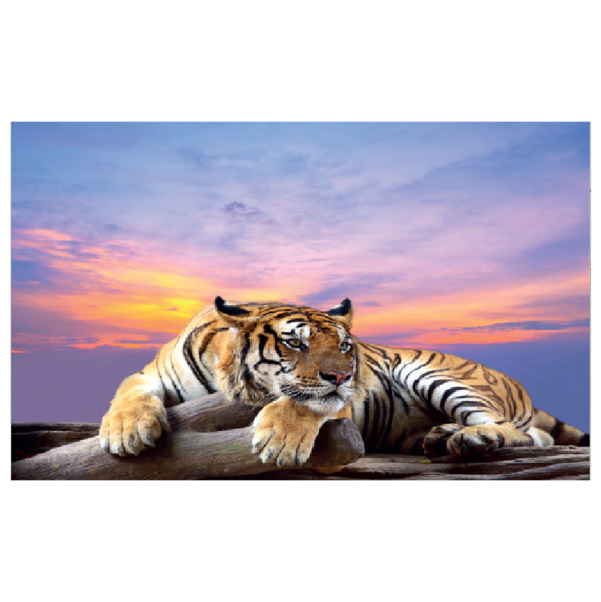 WG030 Tiger Printed Wall Sticker Vinyl Various Sizes