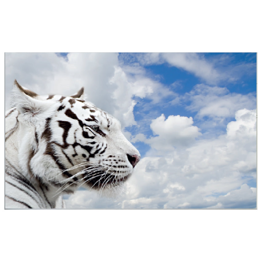 WG039 White Tiger Printed Wall Sticker Vinyl Various Sizes