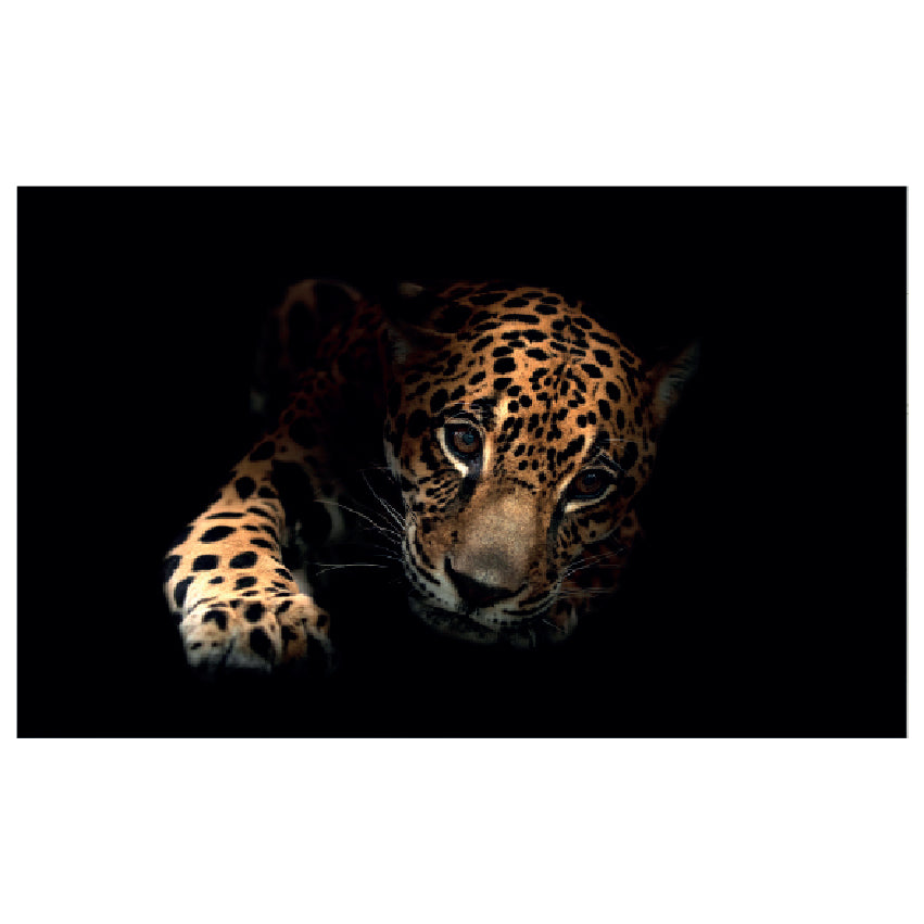 WG042 Leopard Printed Wall Sticker Vinyl Various Sizes