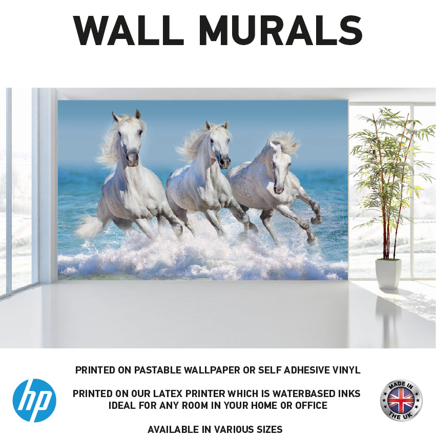 WM0006 Three White Horses on Beach Wall Murals WallPaper Print Decal sticker