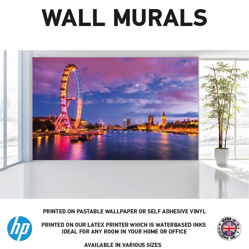WM0011 River Thames in London at night Wall Murals WallPaper Print Decal sticker