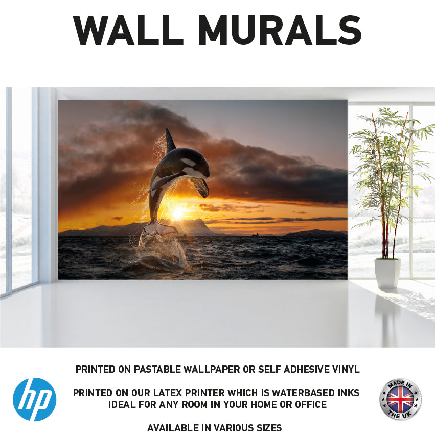 WM0017 Killer Whale Jump in sea Night Wall Murals WallPaper Print Decal sticker