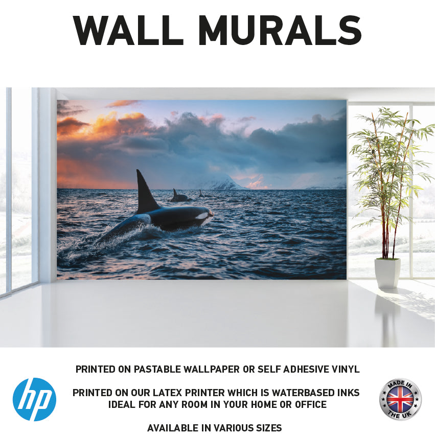 WM0019 Orca in the Sea Wall Murals WallPaper Print Decal sticker
