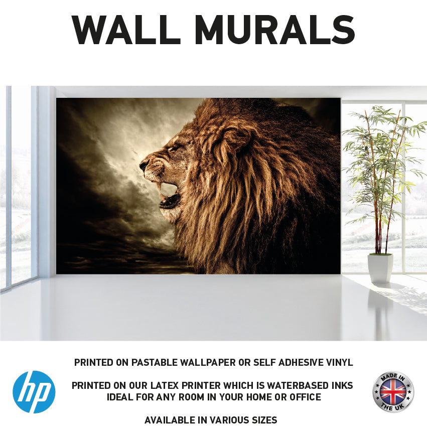 WM0025 Roaring African Wild Lion Wall Murals WallPaper Print Decal sticker