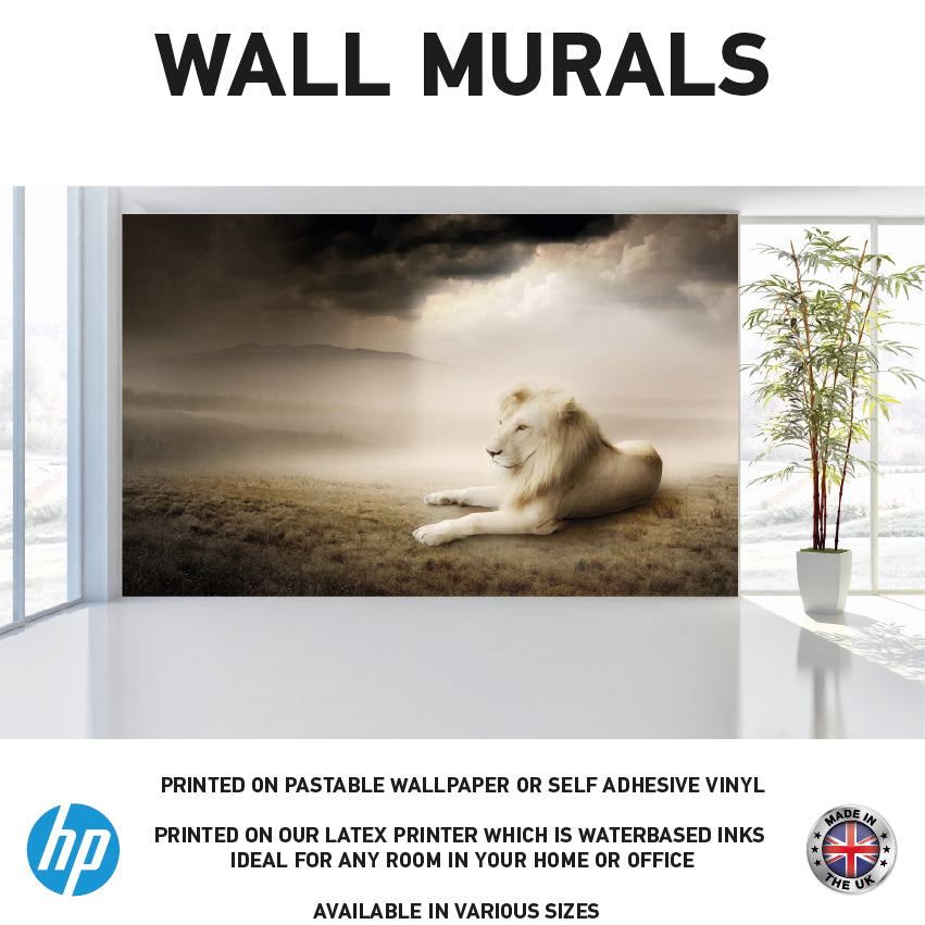 WM0029 White Lion Lying at Sunset Wall Murals WallPaper Print Decal sticker
