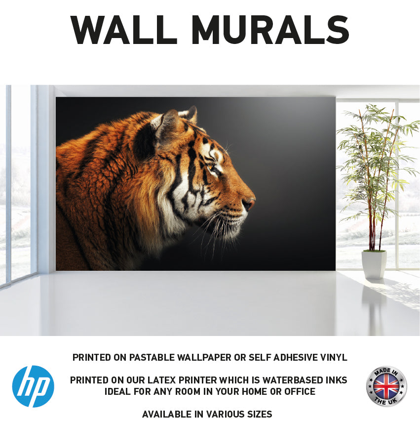 WM0031 African Tiger Face Animal Wall Murals WallPaper Print Decal sticker