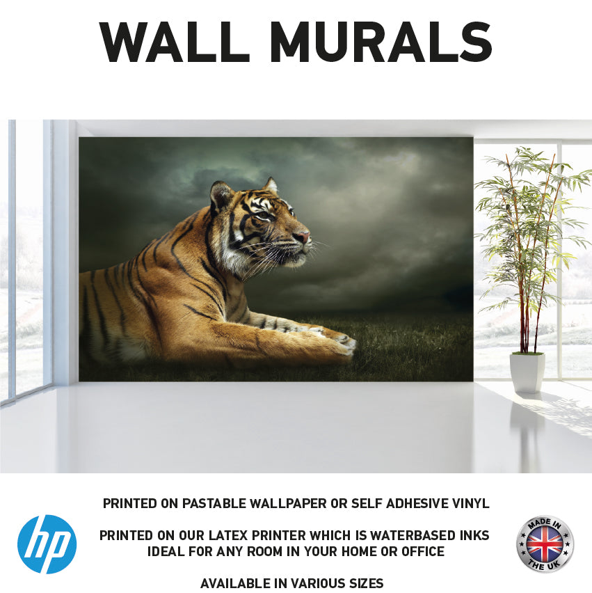 WM0032 Tiger Looking Watching Animal Wall Murals WallPaper Print Decal sticker