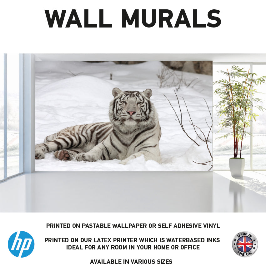 WM0037 White Tiger In Snow Animal Wall Murals WallPaper Print Decal sticker