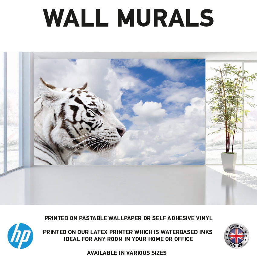 WM0039 African White Tiger Animal Wall Murals WallPaper Print Decal sticker