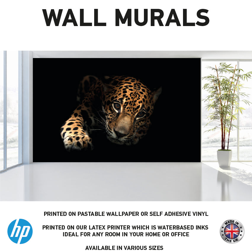 WM0042 Wild Leopard Animal Wall Murals WallPaper Print Decal sticker