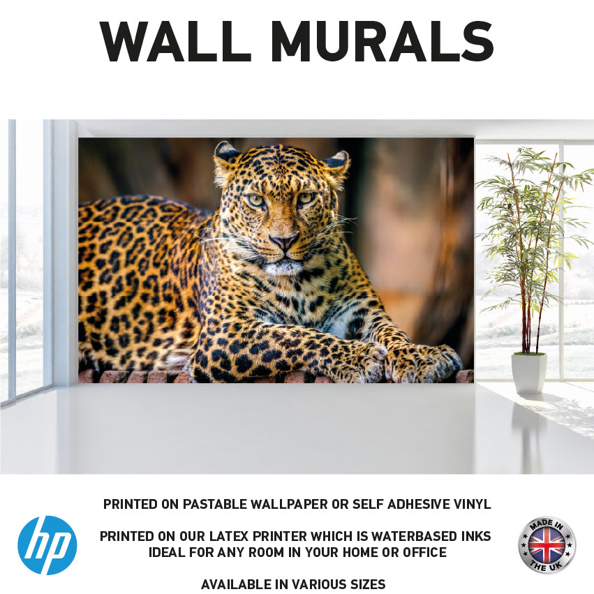 WM0045 Leopard Lying Animal Wall Murals WallPaper Print Decal sticker