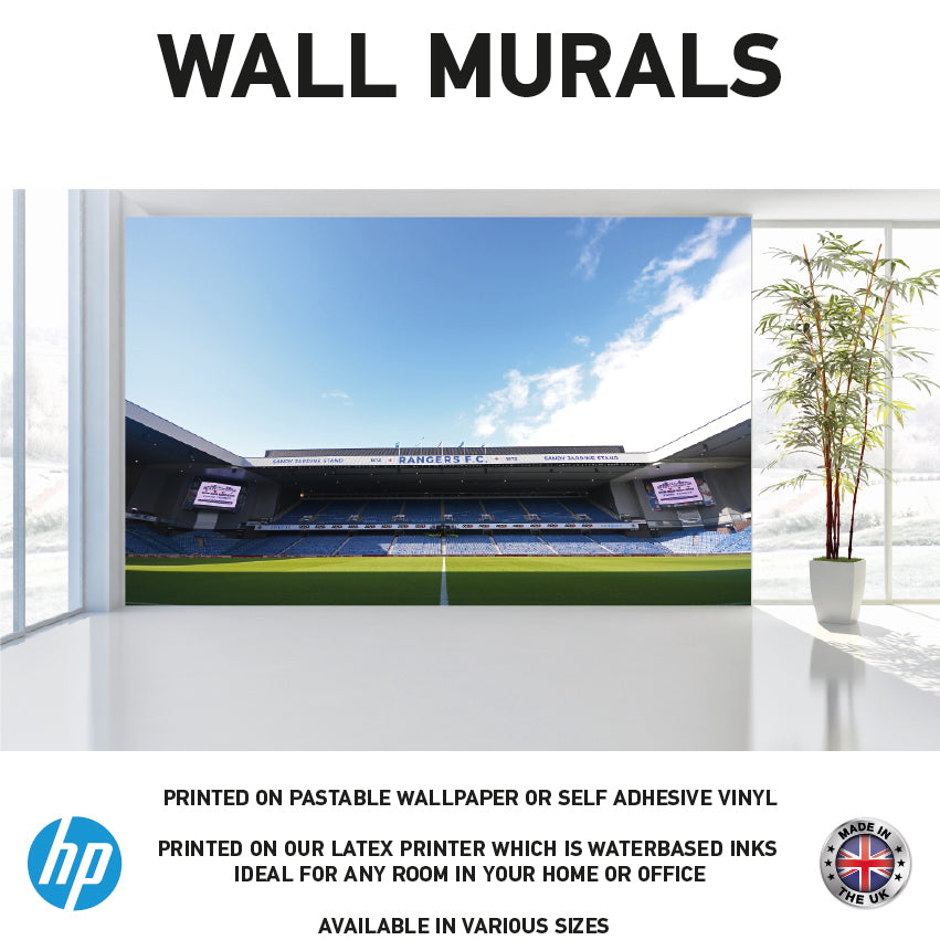 WM0047 Football Stadium Ibrox Wall Murals WallPaper Print Decal sticker