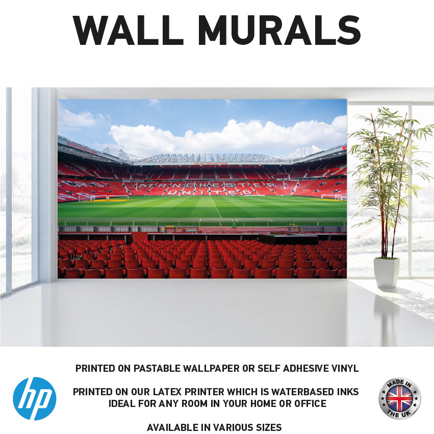 WM0050 Football Stadium Manchester Wall Murals WallPaper Print Decal sticker