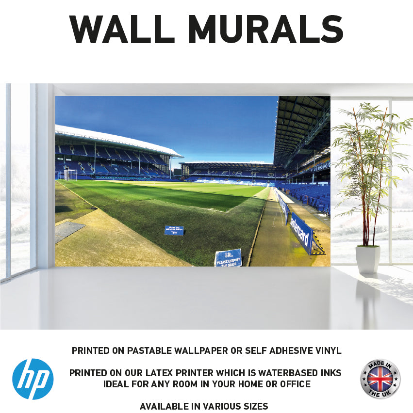 WM0055 Everton Football Stadium Wall Murals WallPaper Print Decal sticker