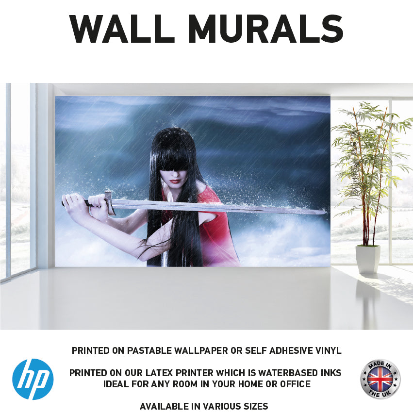 WM0060 Women Fighter Sword in Rain Wall Murals WallPaper Print Decal sticker