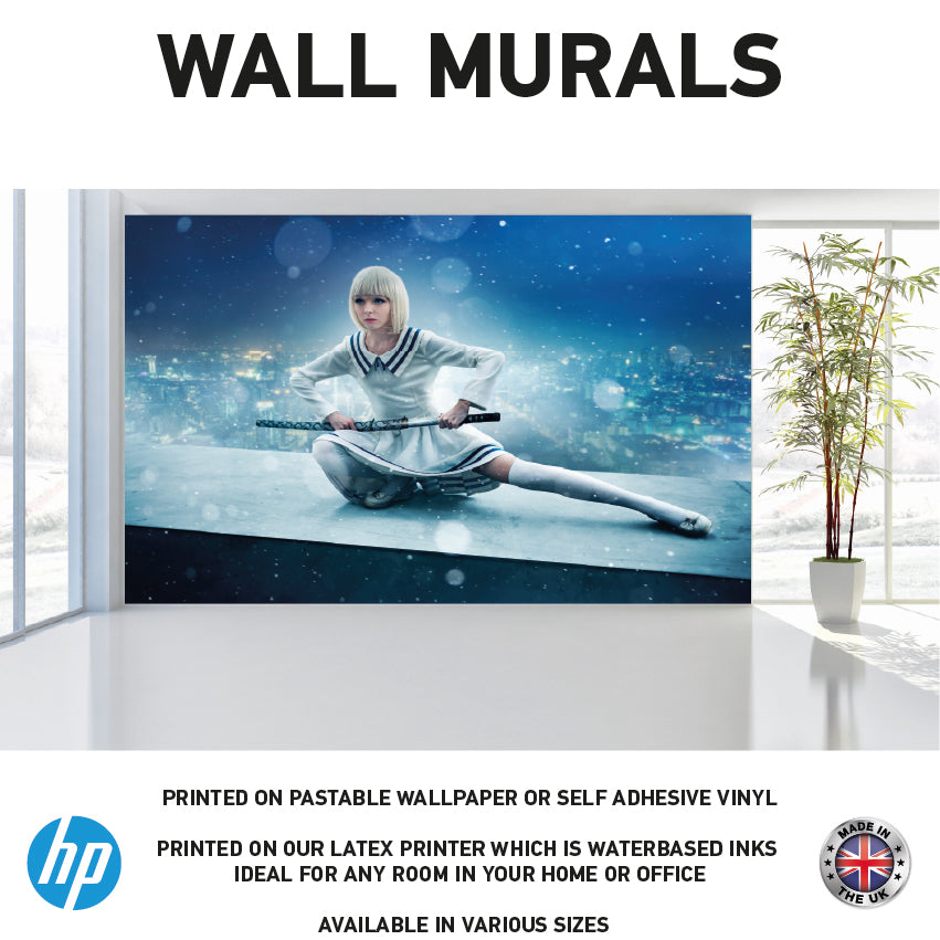 WM0061 Women Sword Fighter Wall Murals WallPaper Print Decal sticker