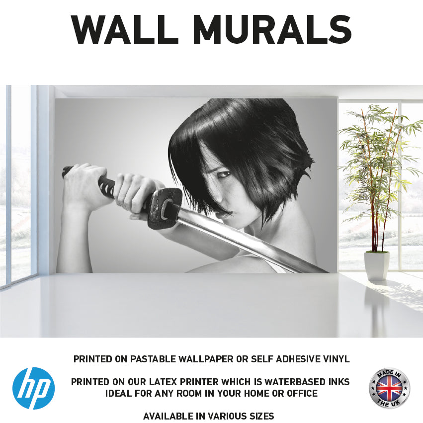 WM0062 Sword Women Wall Murals WallPaper Print Decal sticker