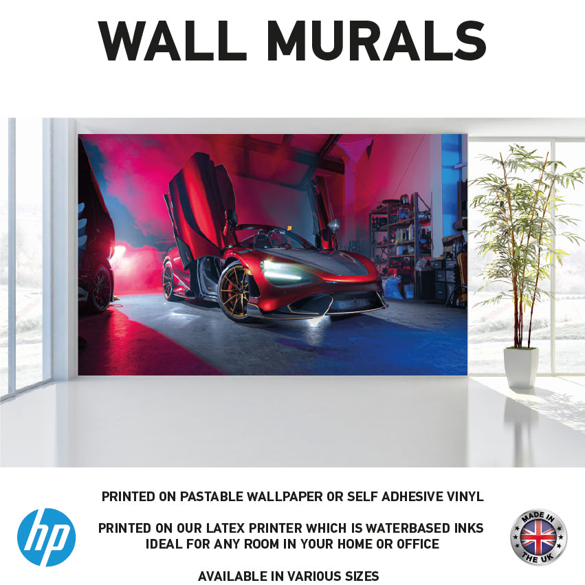 WM0067 Red Supercar Vehicle Wall Murals WallPaper Print Decal sticker