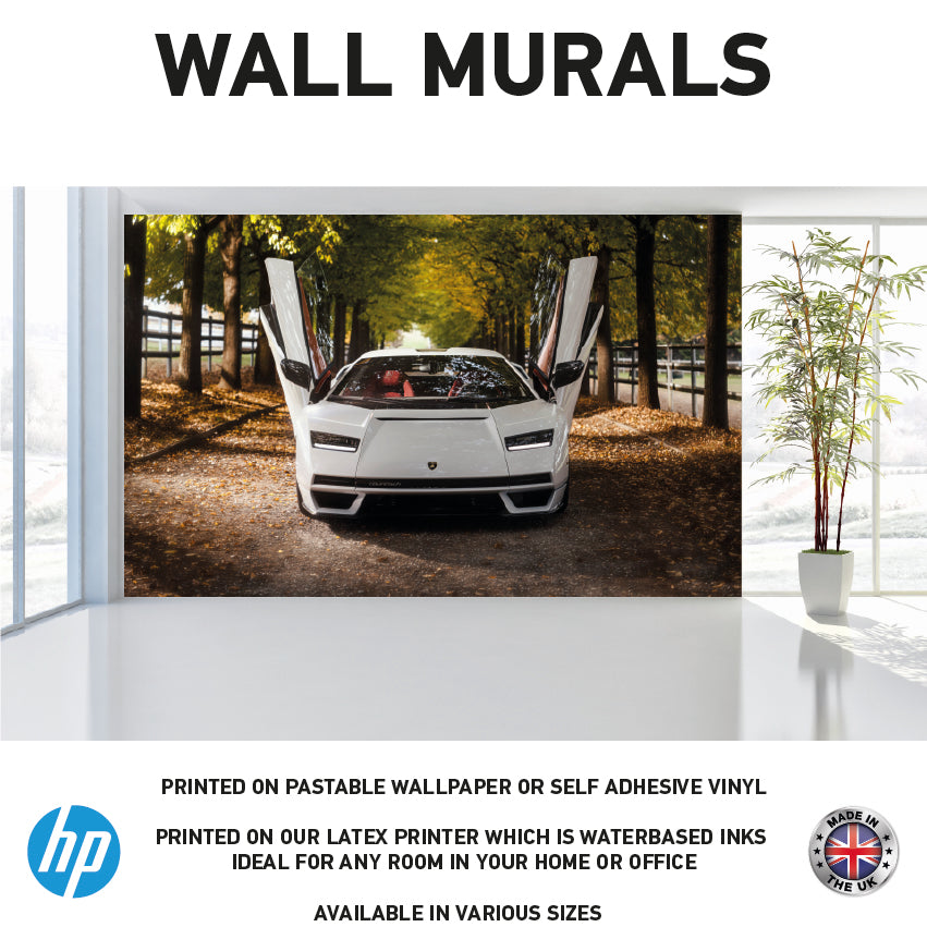 WM0070 White Supercar Vehicle Wall Murals WallPaper Print Decal sticker