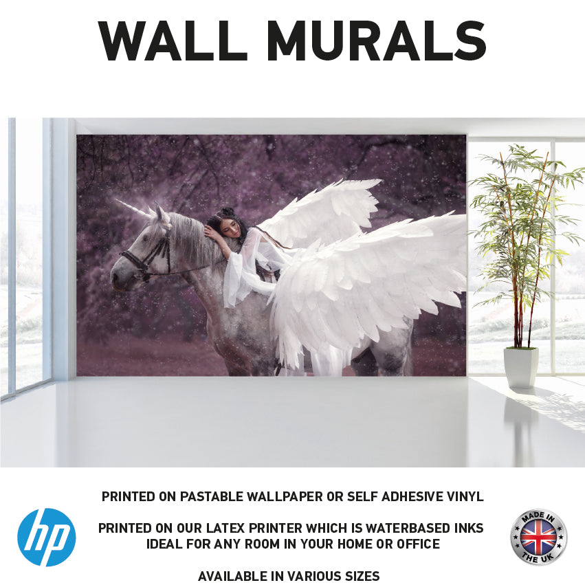 WM0090 Unicorn Horse Wings Women Sleep Wall Murals WallPaper Print Decal sticker