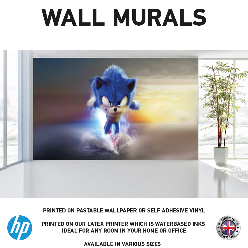 WM0097 Cartoon Hedgehog Character Wall Murals WallPaper Print Decal sticker