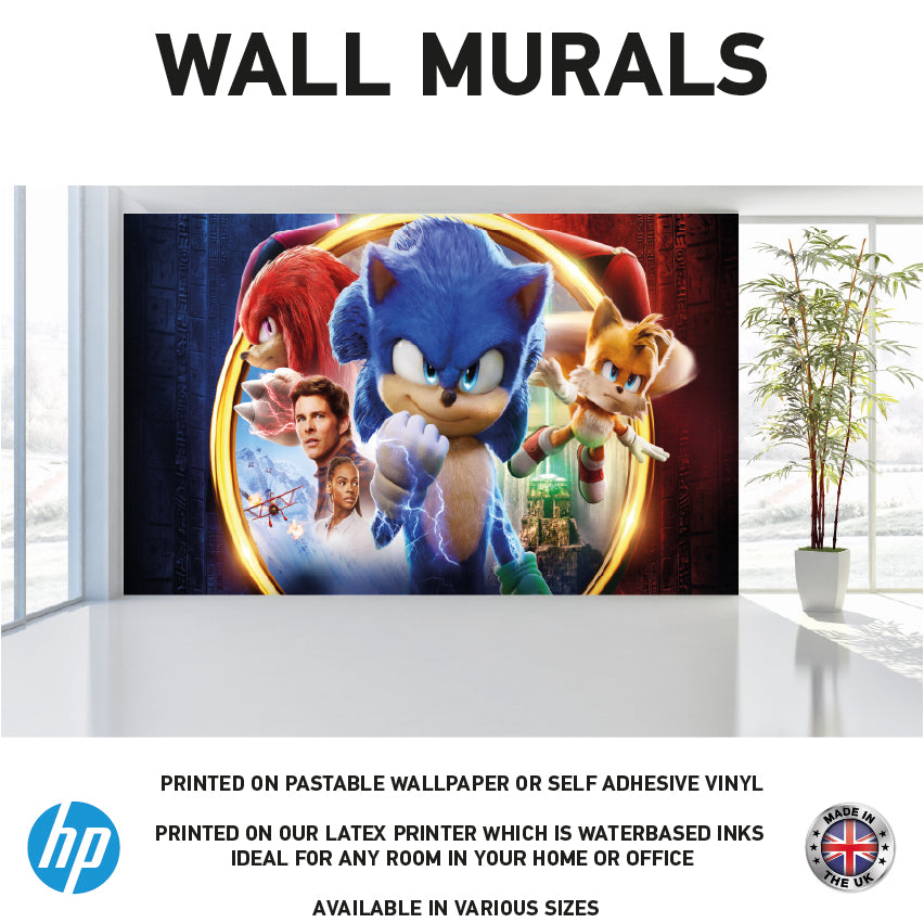 WM0098 Hedgehog Cartoon Film Character Wall Murals WallPaper Print Decal sticker