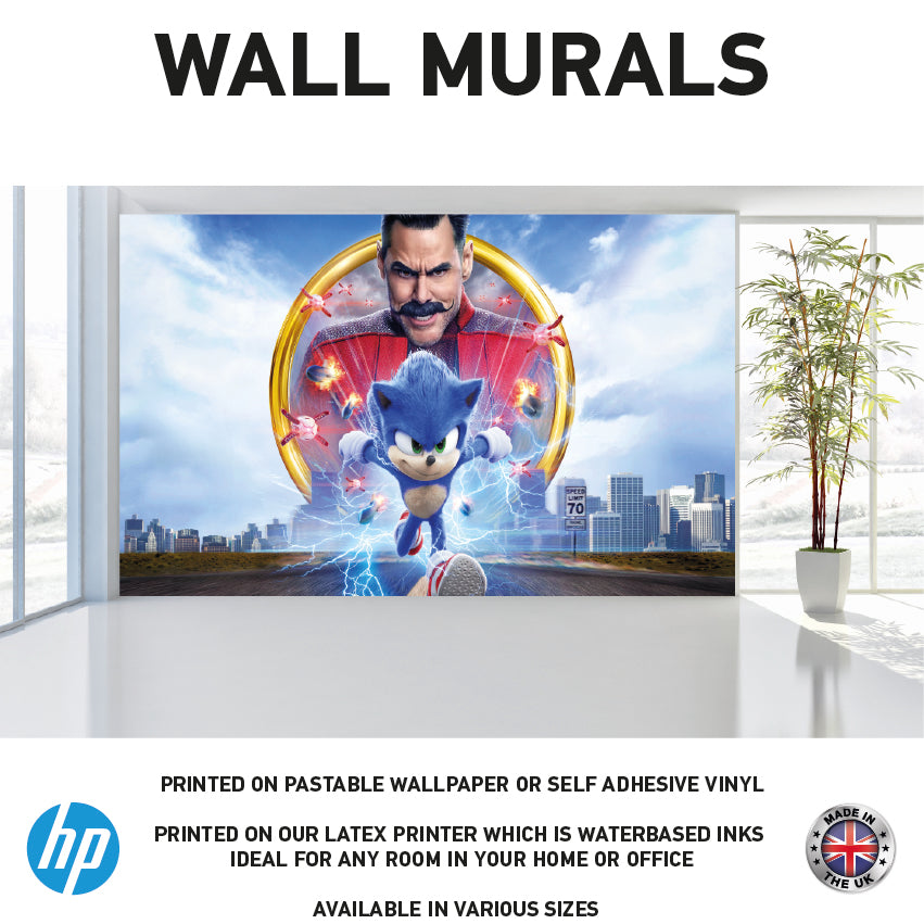 WM0099 Hedgehog Cartoon Film Man Ring Wall Murals WallPaper Print Decal sticker