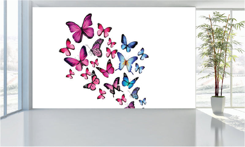 29C Butterflies