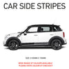 NEO01158A Universal Side Stripe Will Fit Any Car Van