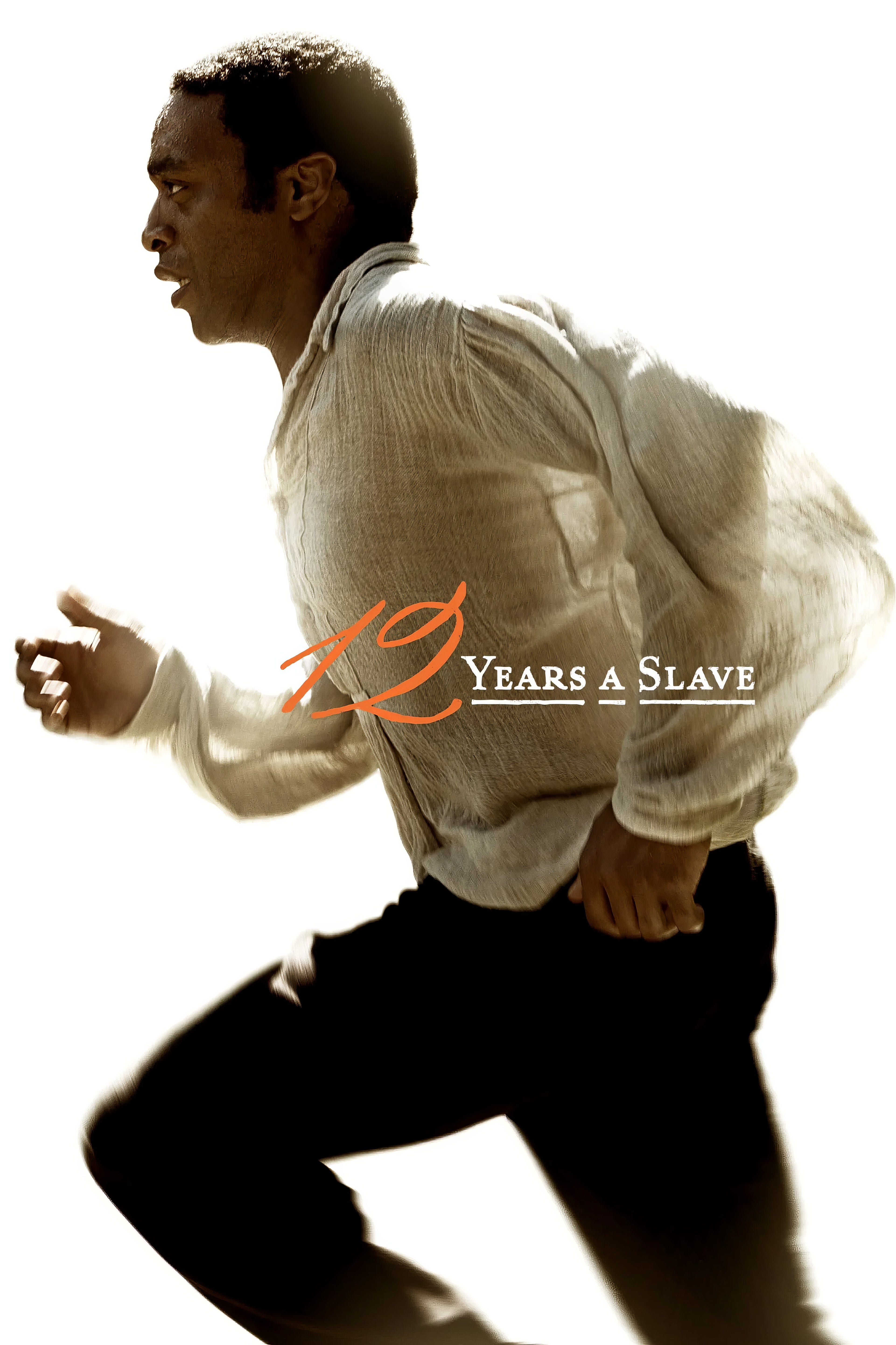 2010 12 Years a Slave (2013) Film/Movie Premium Waterproof & Tear Resistant Posters
