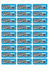 Flag Race Name Stickers For 1/5th scale Radio Controlled Vehicle A4,A5 Available