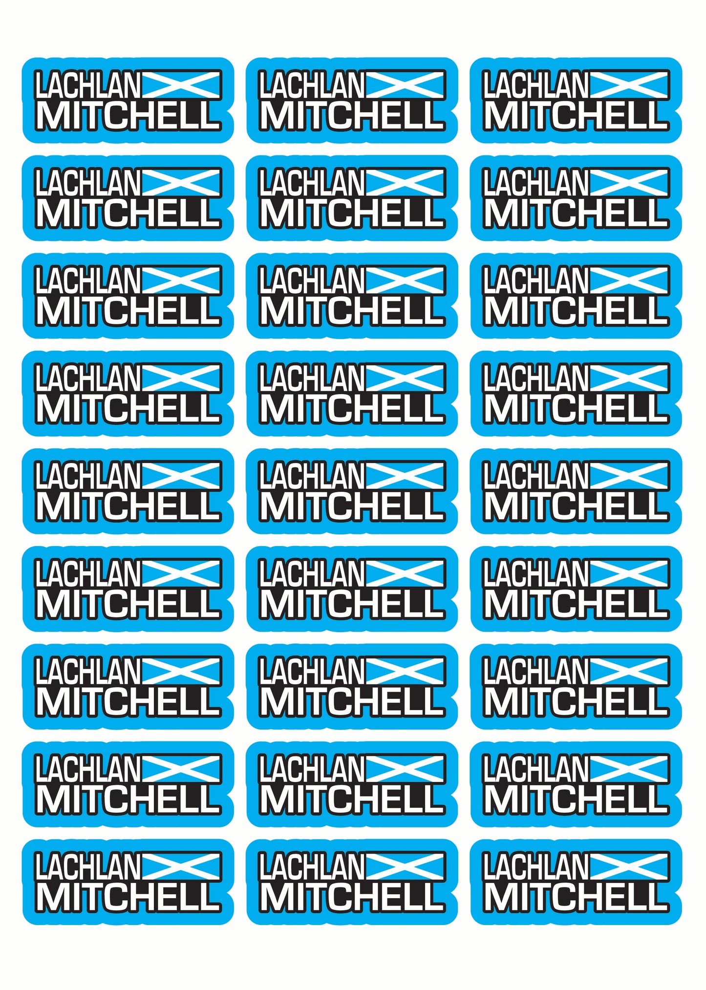 Flag Race Name Stickers For 1/5th scale Radio Controlled Vehicle A4,A5 Available
