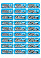 Flag Race Name Stickers For 1/5th scale Radio Controlled Vehicle A4,A5 Available
