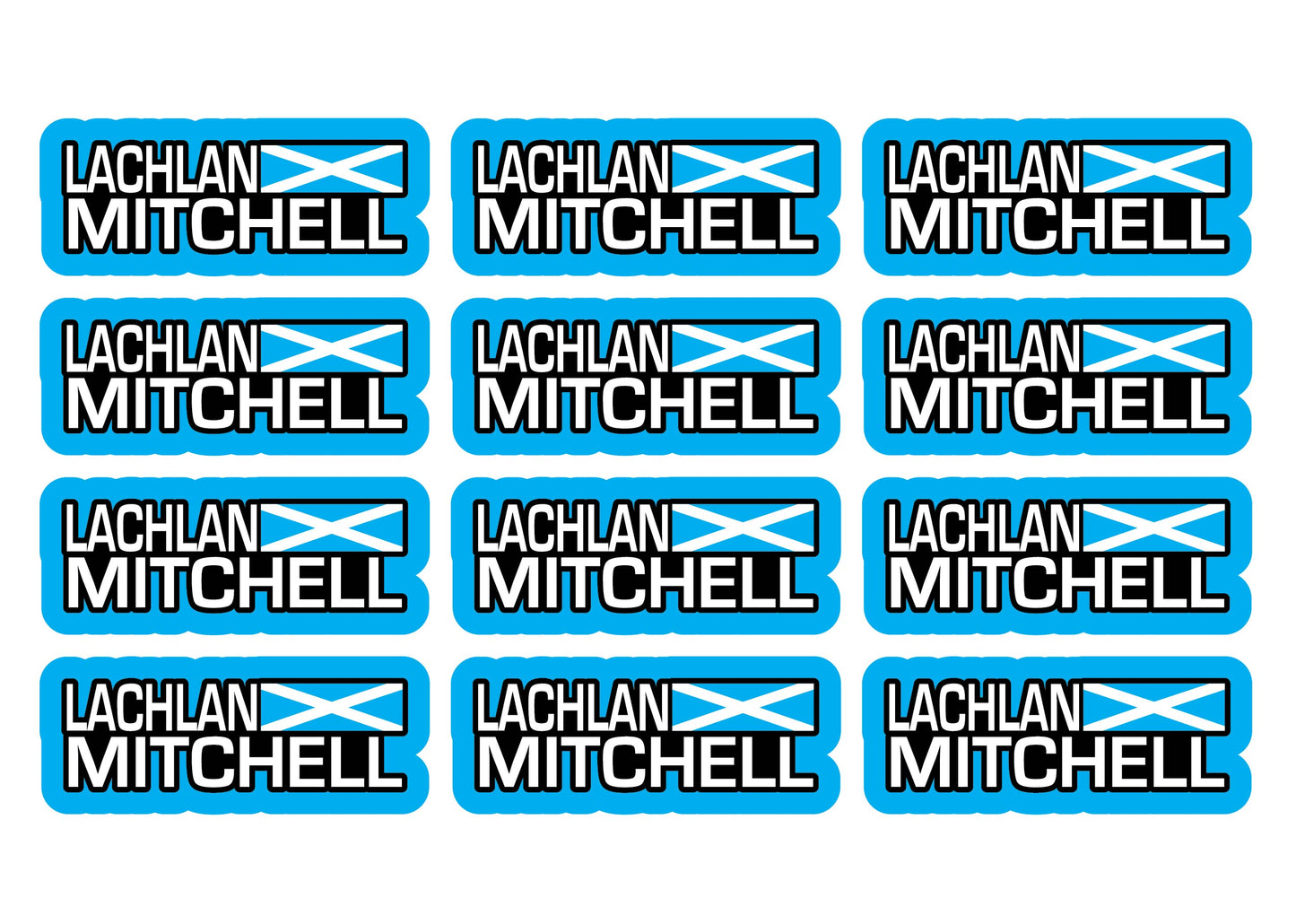 Flag Race Name Stickers For 1/5th scale Radio Controlled Vehicle A4,A5 Available