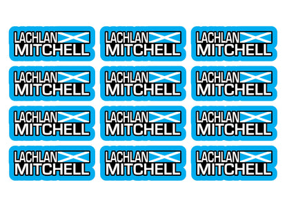 Flag Race Name Stickers For 1/5th scale Radio Controlled Vehicle A4,A5 Available