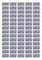 Race Name Stickers For 1/10th scale Radio Controlled Vehicle A4,A5 Available
