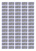 Race Name Stickers For 1/10th scale Radio Controlled Vehicle A4,A5 Available