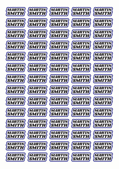 Race Name Stickers For 1/10th scale Radio Controlled Vehicle A4,A5 Available