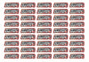 Wavey Race Name Stickers For 1/10th scale Radio Controlled Vehicle A4,A5 Available (Copy)