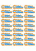 Race Name Stickers For 1/5th scale Radio Controlled Vehicle A4,A5 Available
