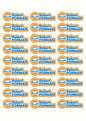 Logo Race Name Stickers For 1/5th scale Radio Controlled Vehicle A4,A5 Available