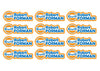 Race Name Stickers For 1/5th scale Radio Controlled Vehicle A4,A5 Available