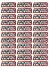 Wavey Race Name Stickers For 1/5th scale Radio Controlled Vehicle A4,A5 Available