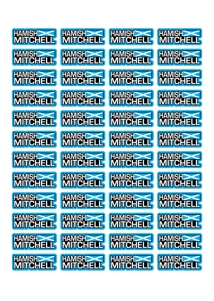 Flag Race Name Stickers For 1/8th scale Radio Controlled Vehicle A4,A5 Available