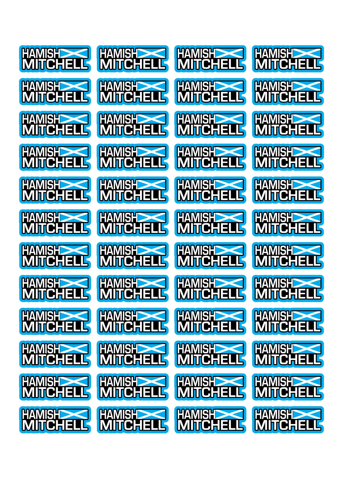 Flag Race Name Stickers For 1/8th scale Radio Controlled Vehicle A4,A5 Available